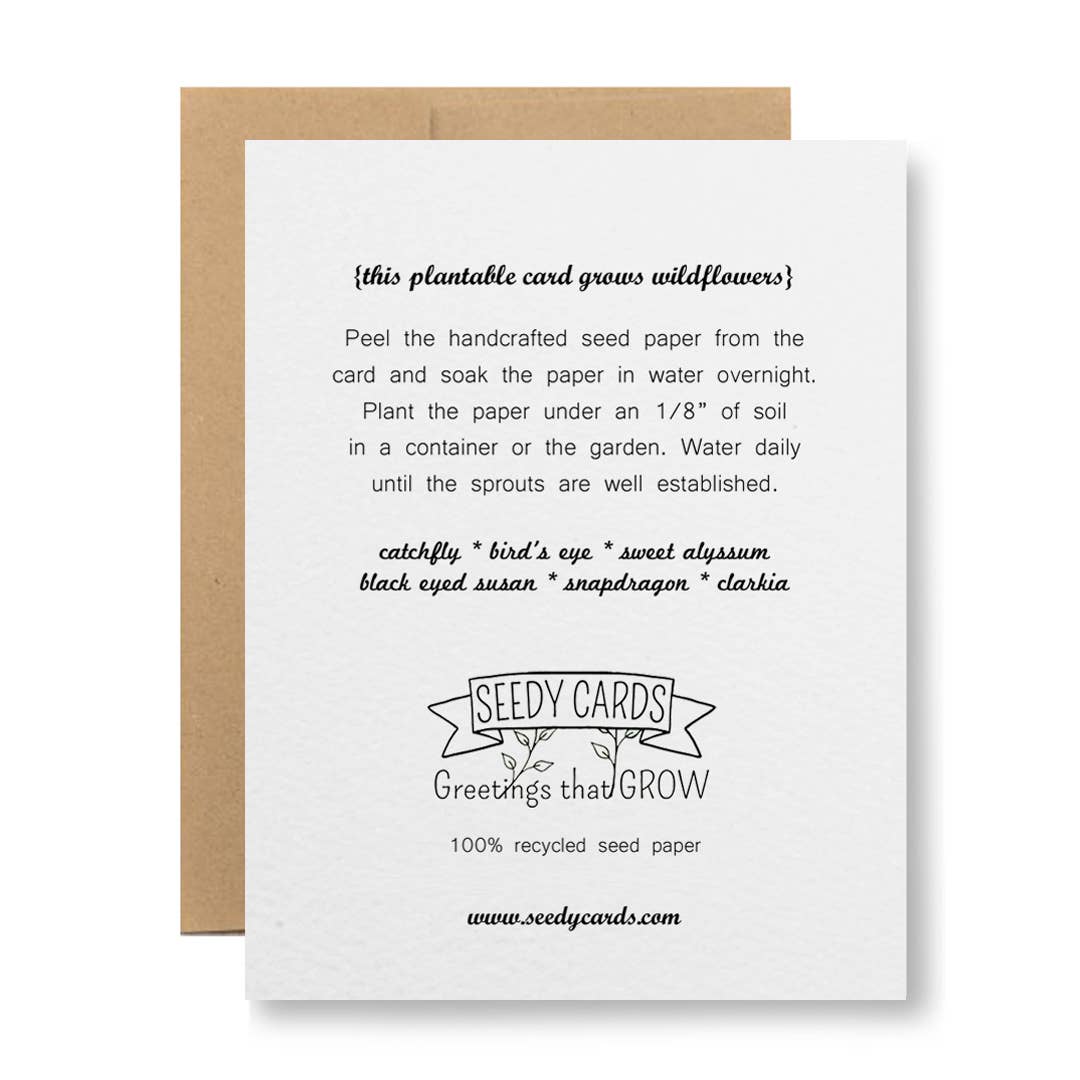 Plantable Greeting Card - Cheers!