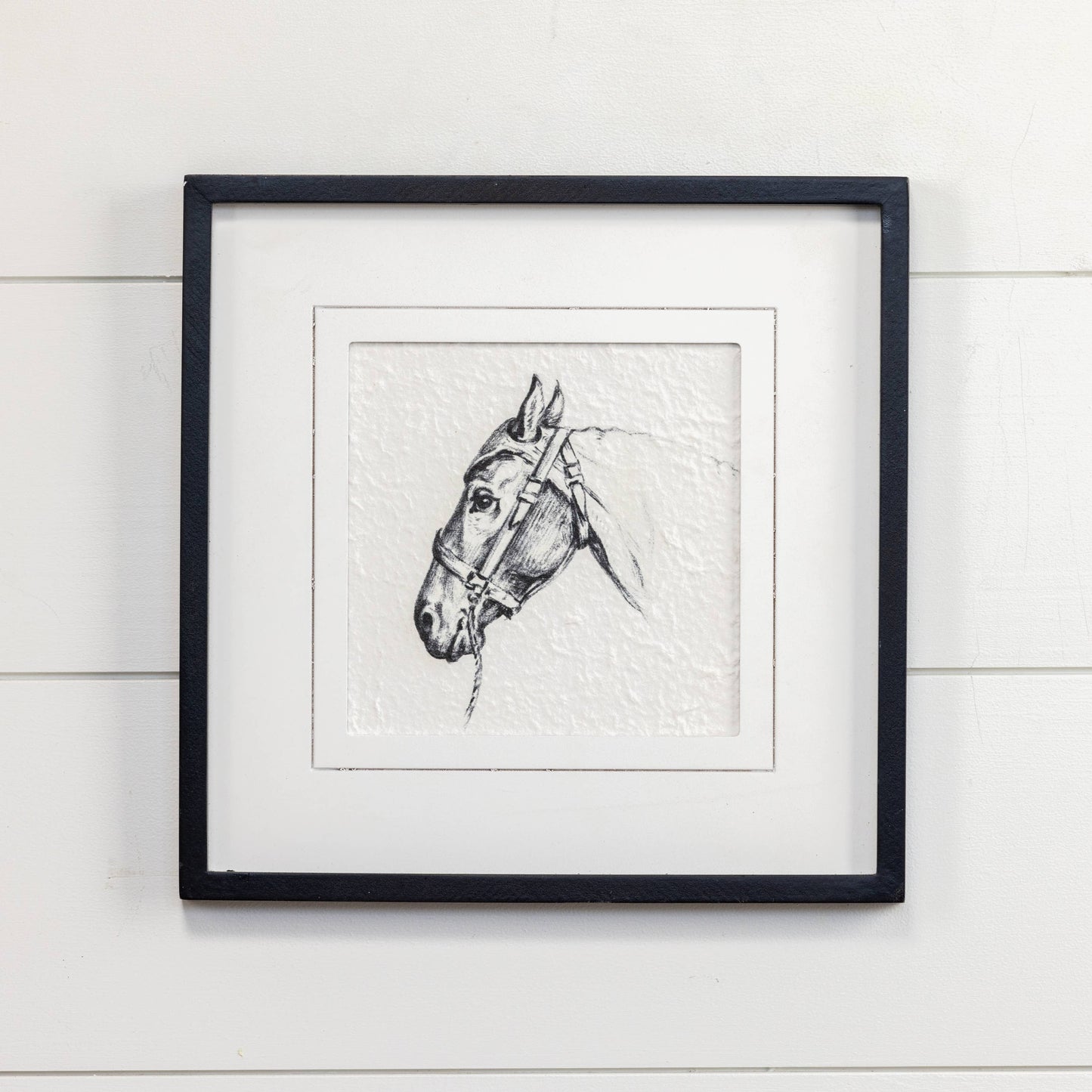 BLACK & WHITE HORSE PRINT