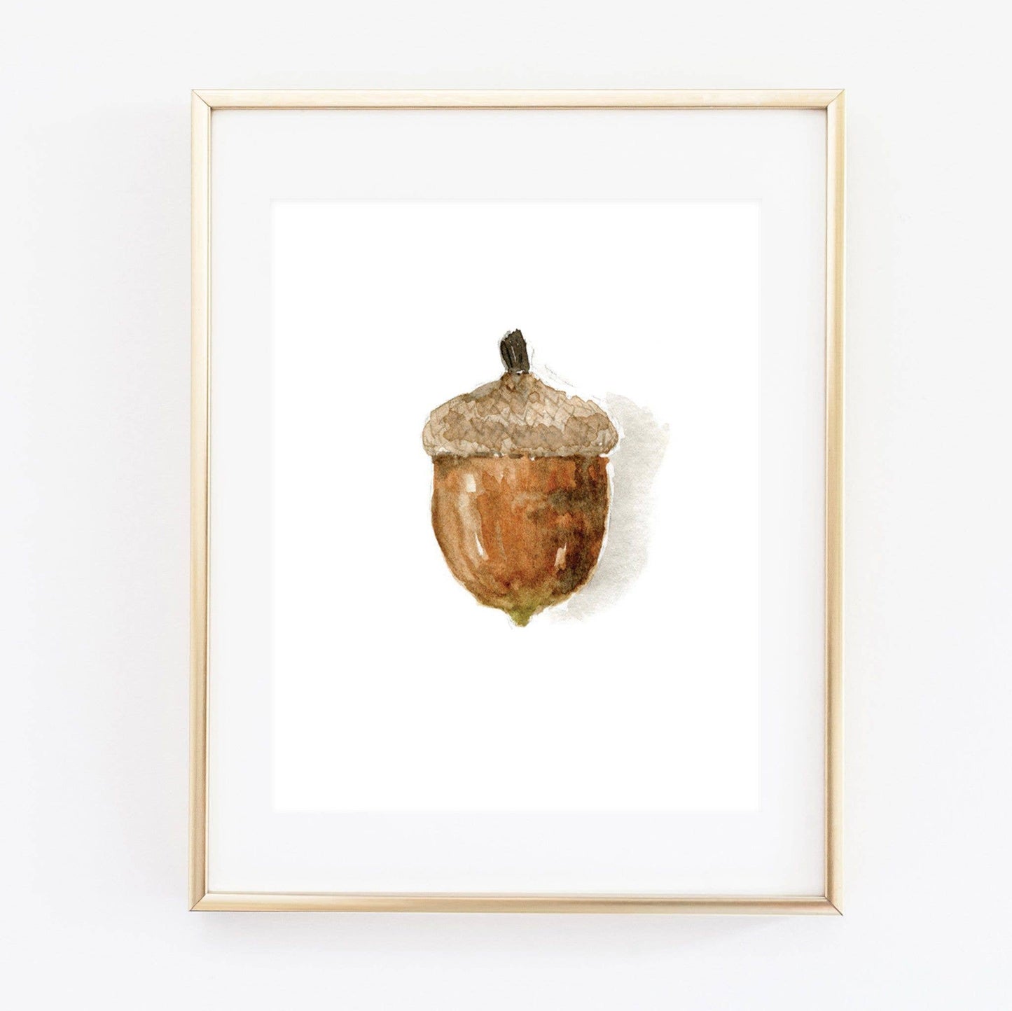 Acorn art print