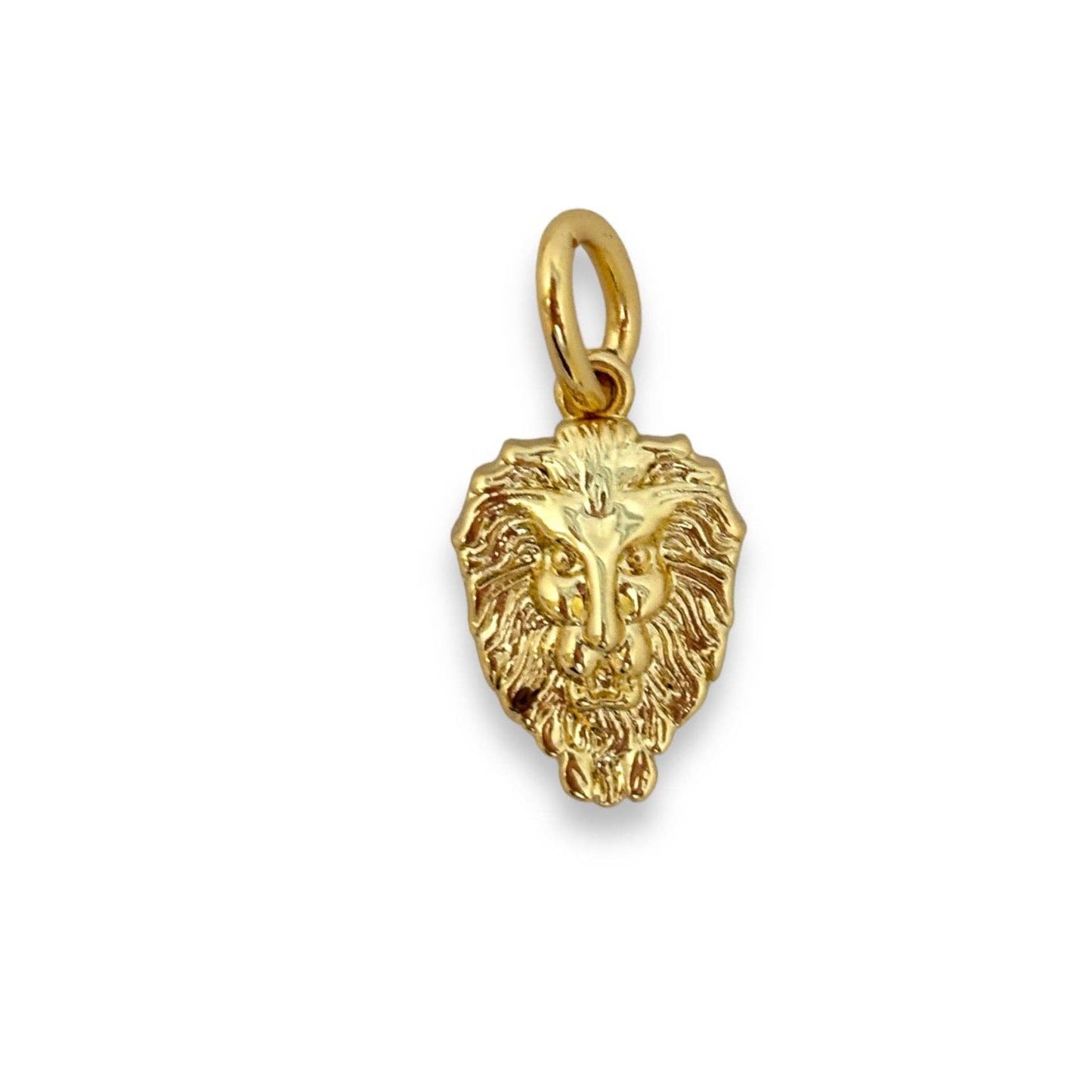 Courage Charm for Necklace