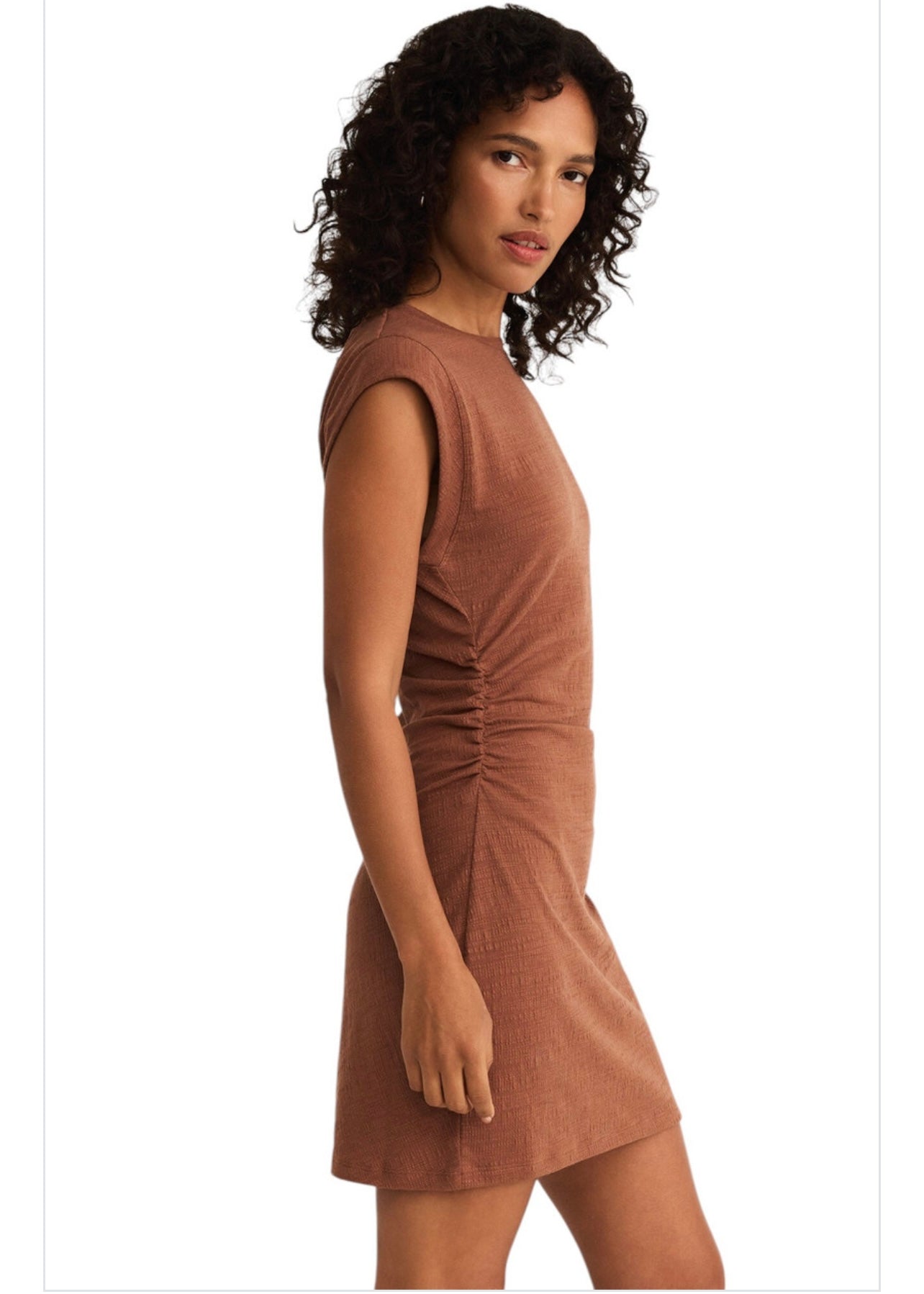 Z Supply Camino Textured Mini Dress