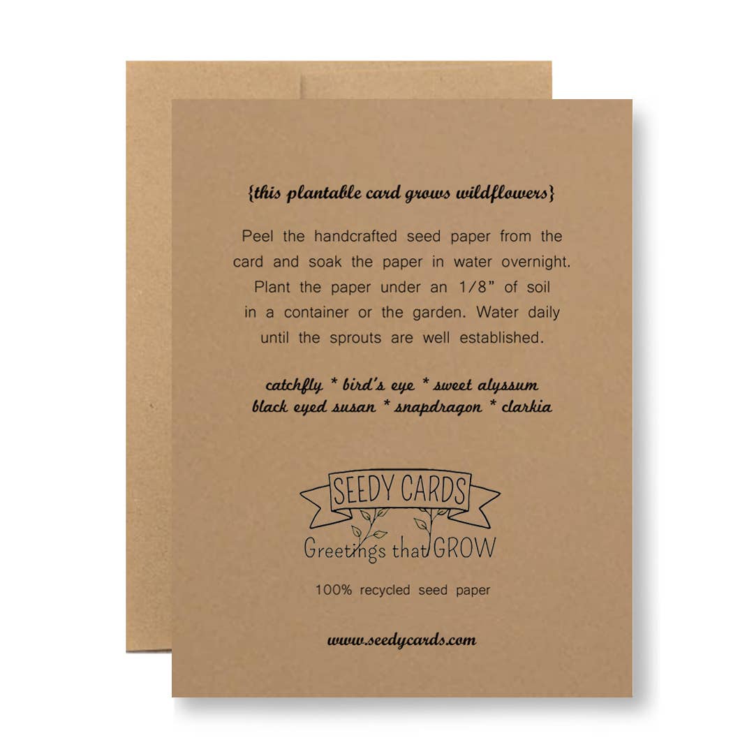 White Seed Paper - ...most of it was your fault