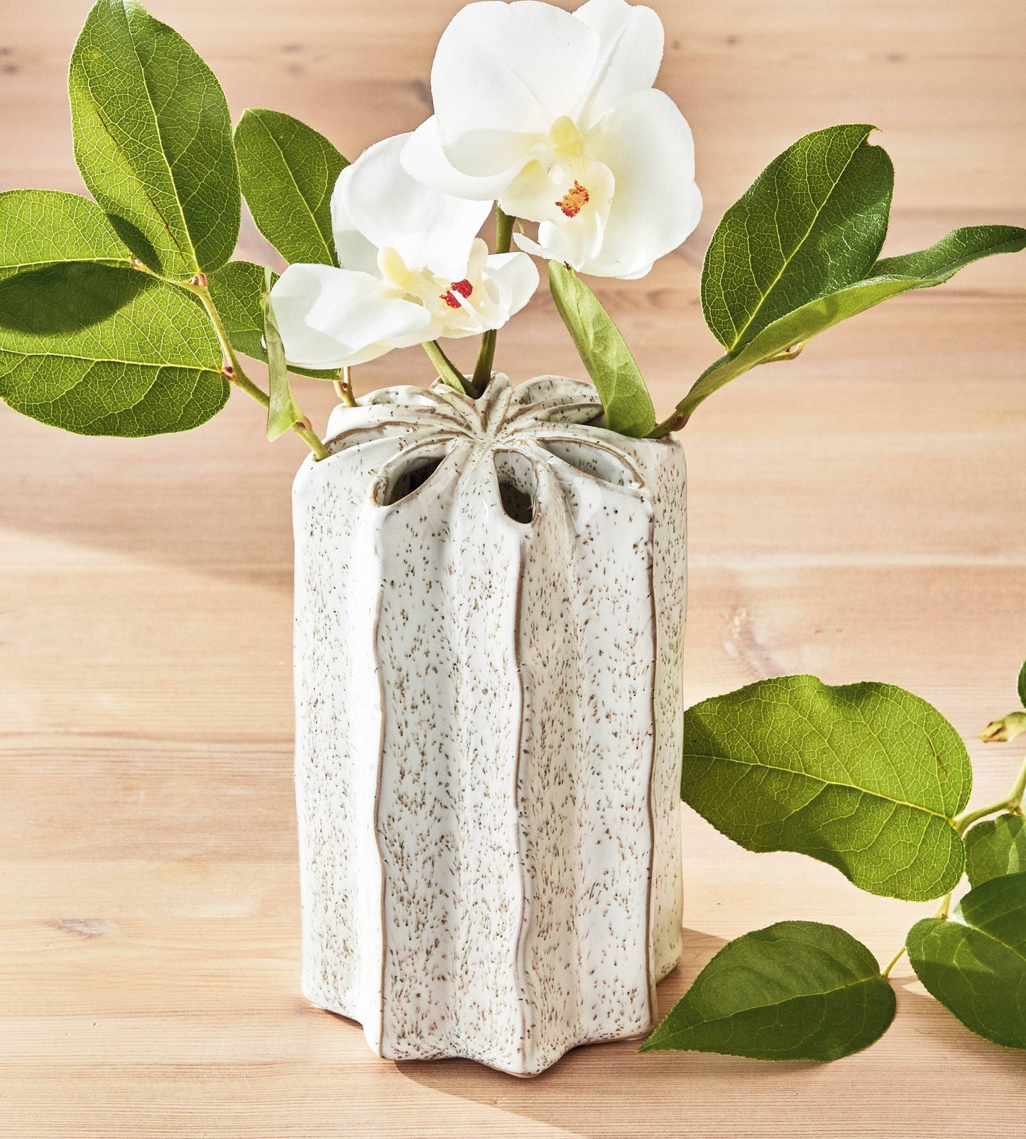 Everyday Flower Frog Vase