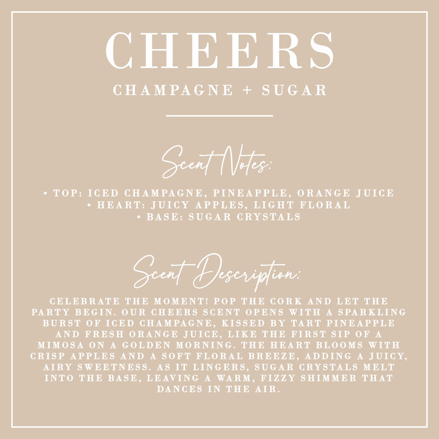 CHEERS | Champagne + Sugar Candle | Signature Collection