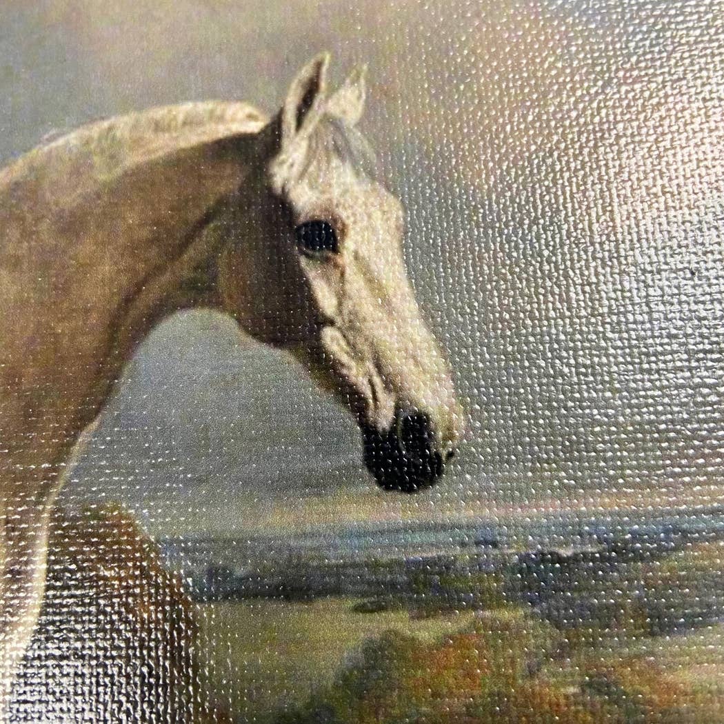 Gray Horse with Ducks Vintage  Painting Print on Canvas