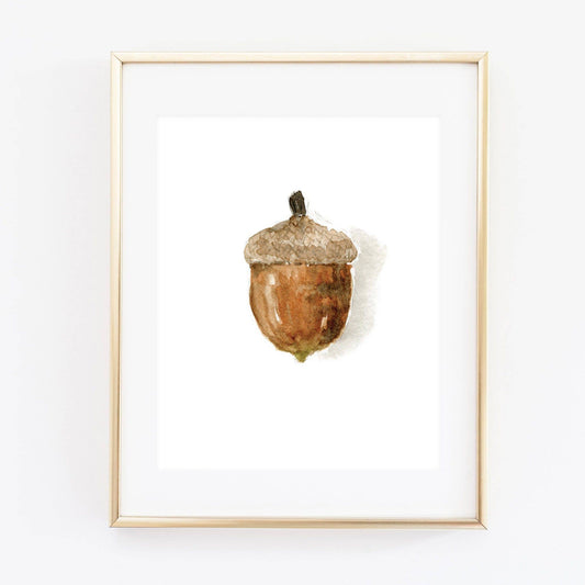 Acorn art print