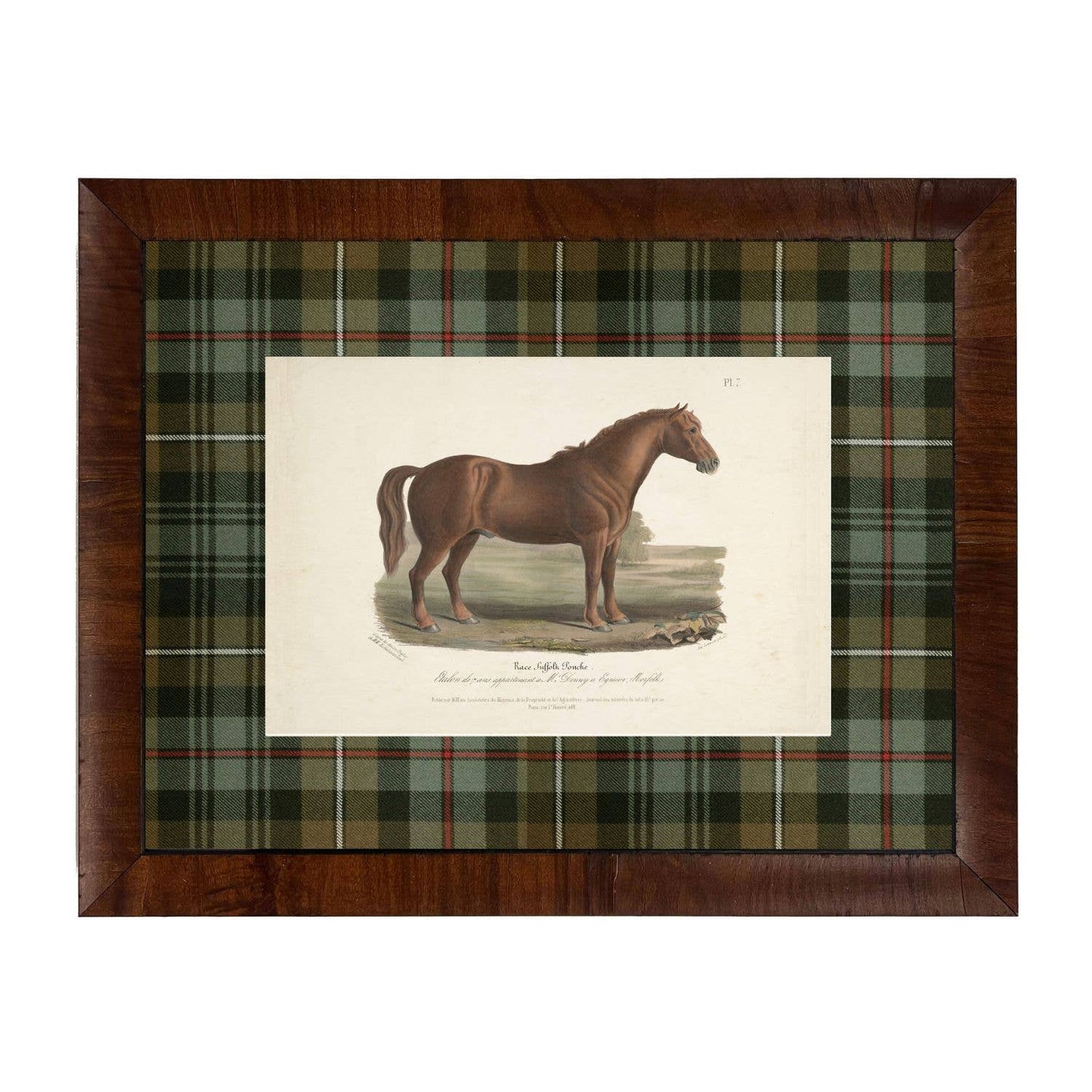 Vintage horse bookplate C matted in green and brown tartan