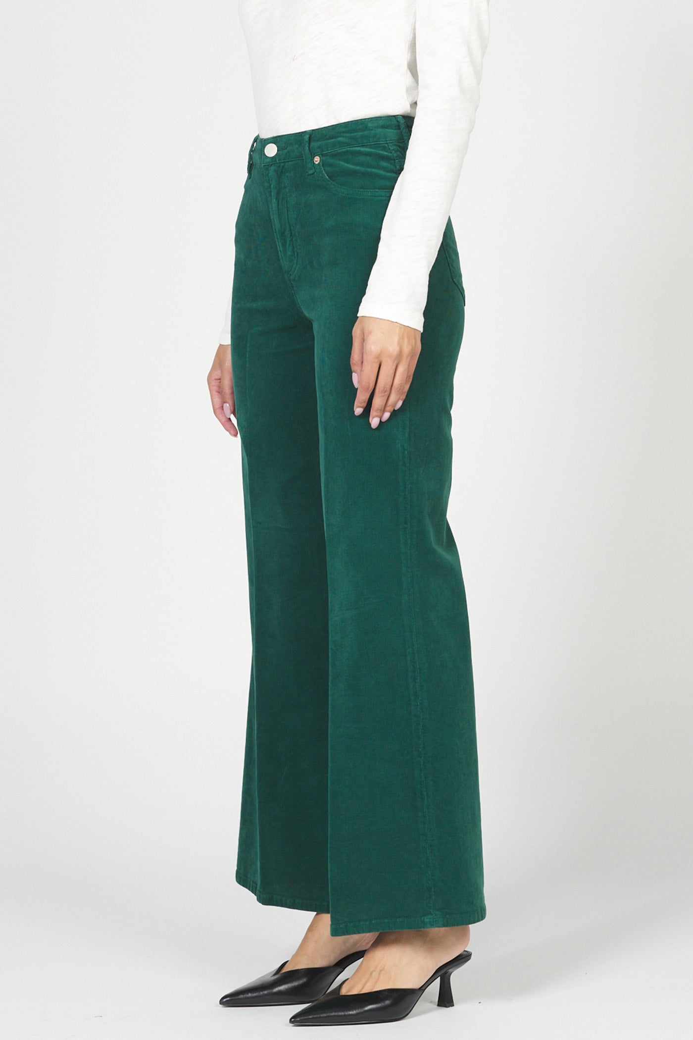 Dear John Fiona Rainforest