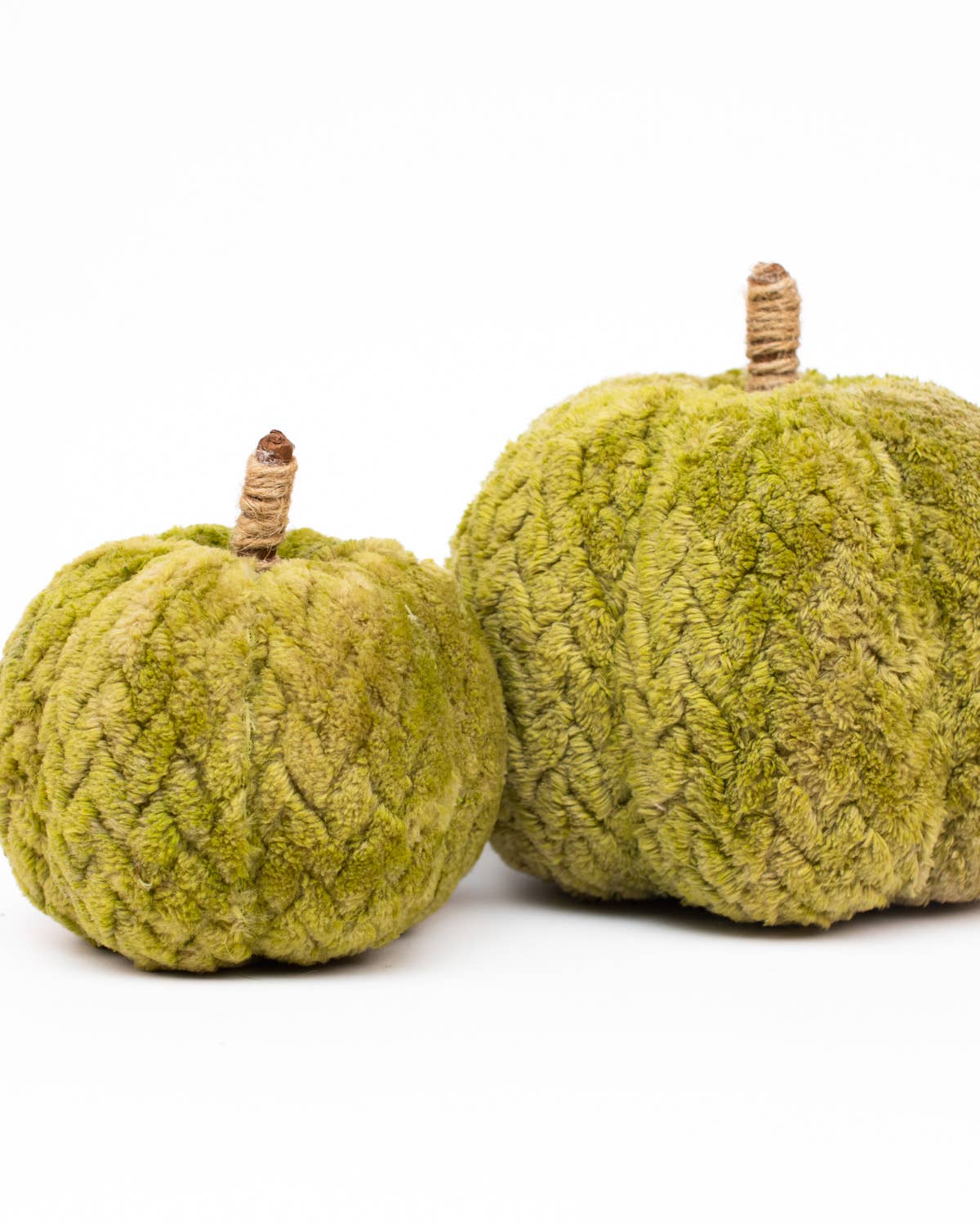 Hutchinson Pumpkin   Green   6"