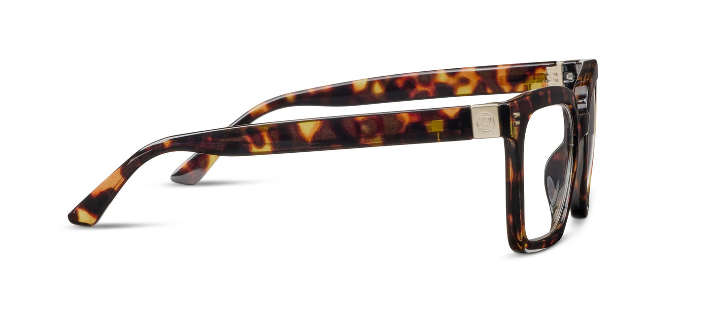 Montage (Blue Light)