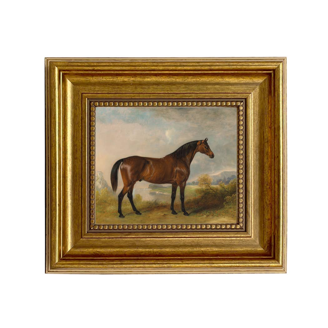 A Bay Hunter Framed Oil Painting Print on Canvas