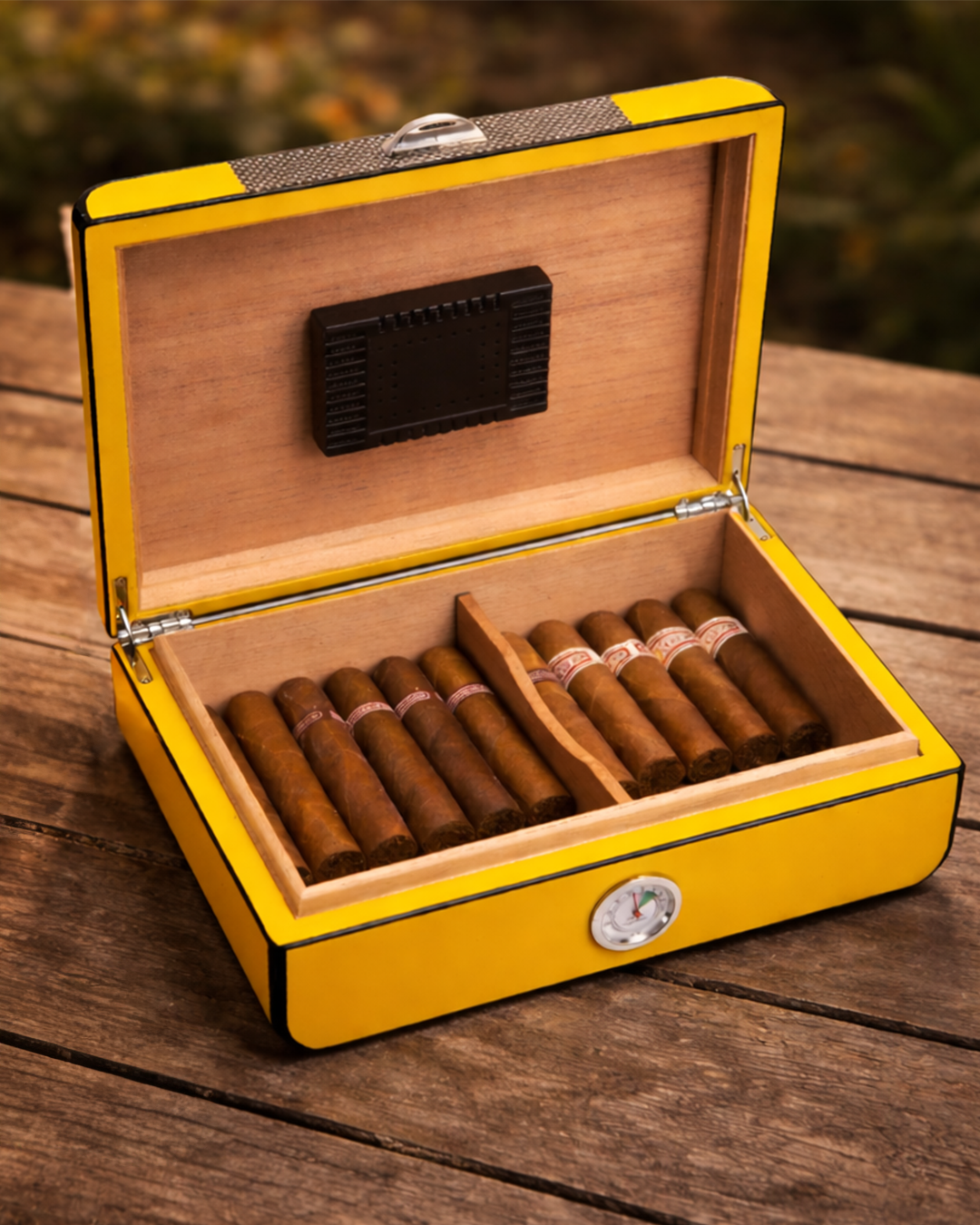 Cigar Humidor