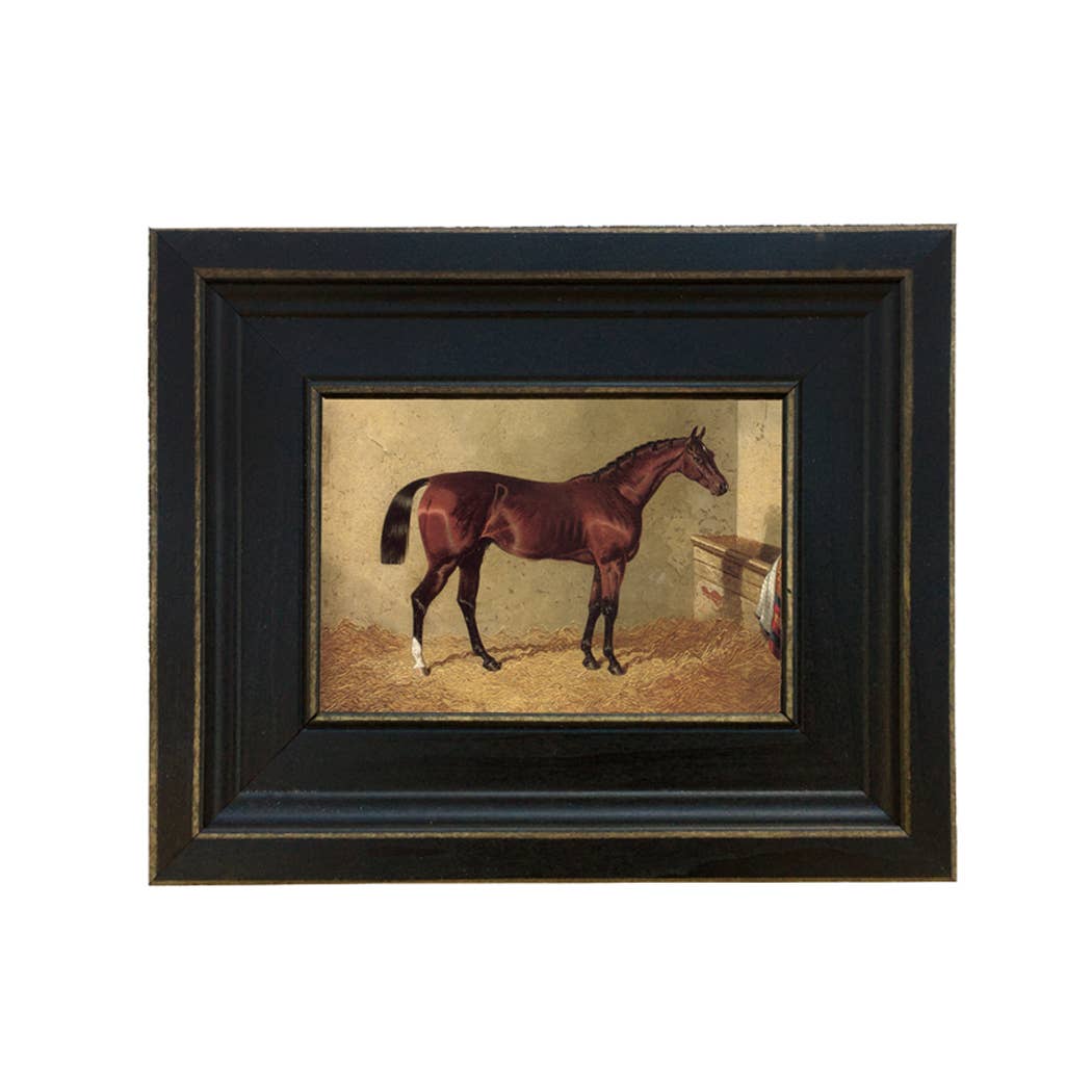 Bay Colt in Stable Vintage  Painting Print on Canvas