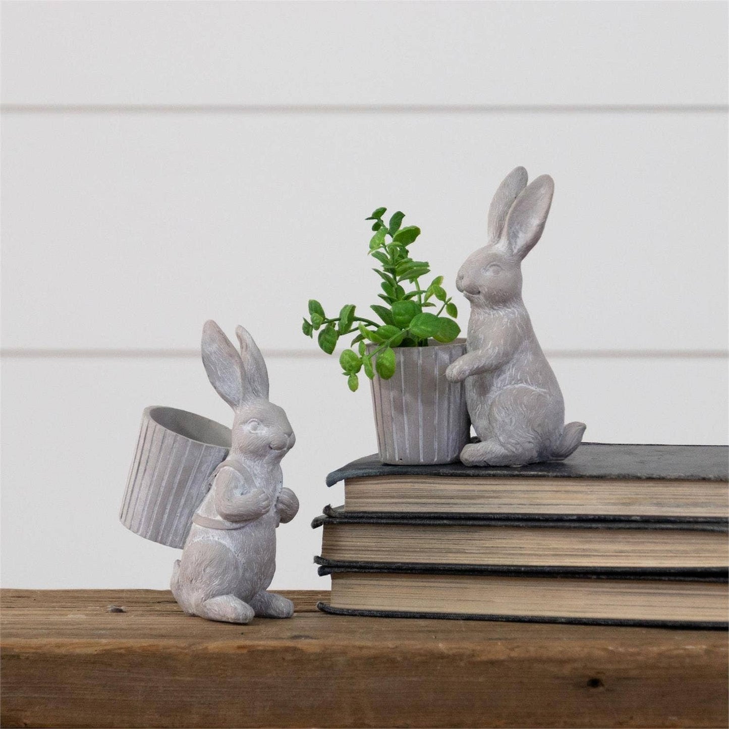 Rabbits With Baskets
