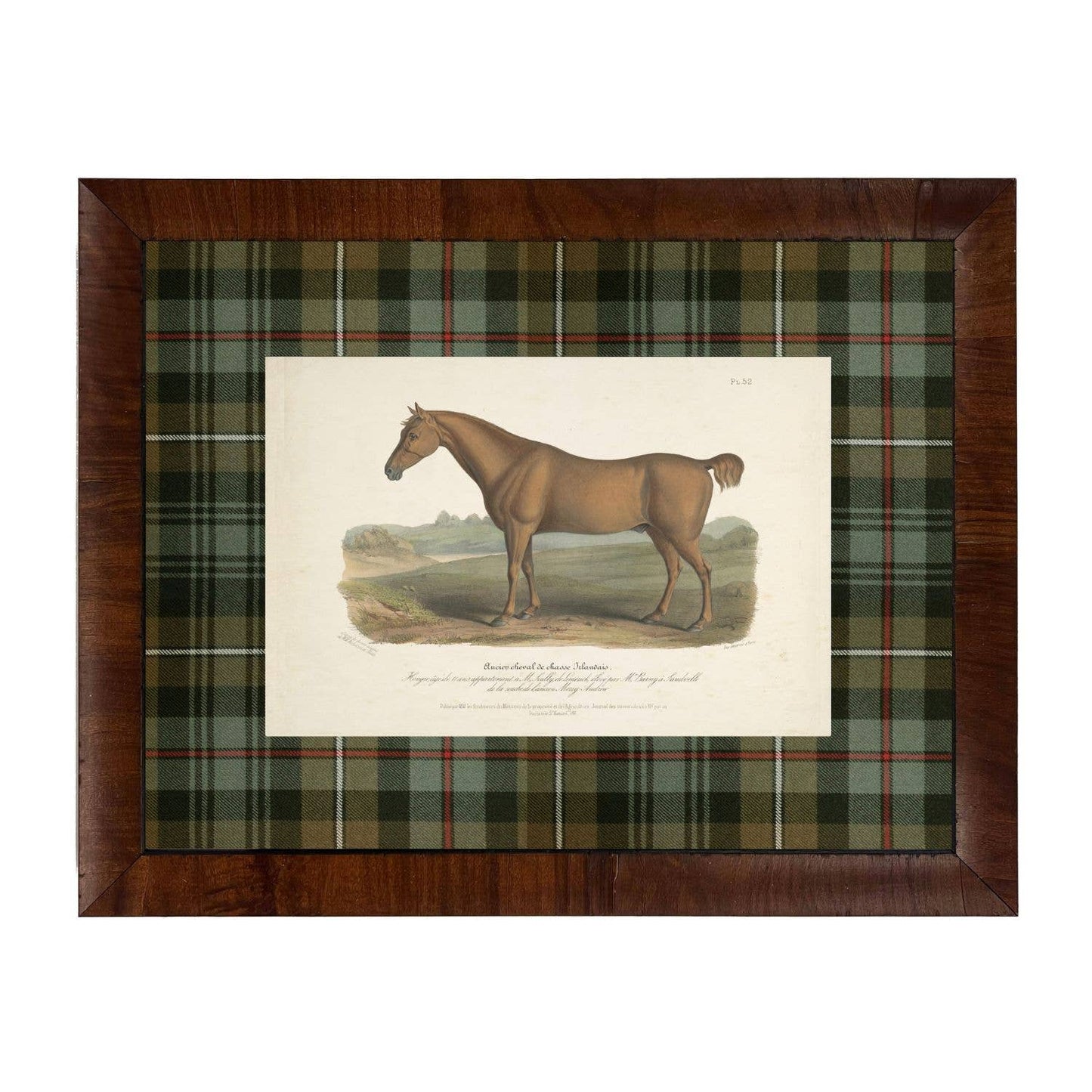 Vintage horse bookplate B matted in green and brown tartan