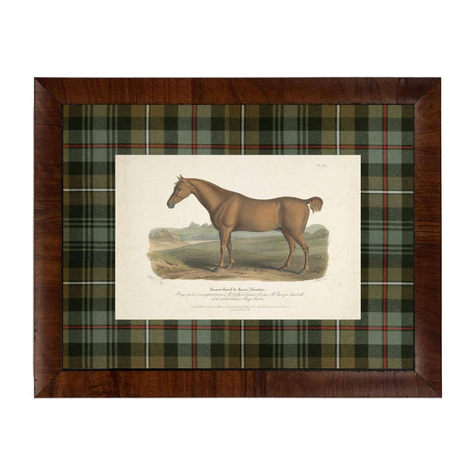Vintage horse bookplate B matted in green and brown tartan