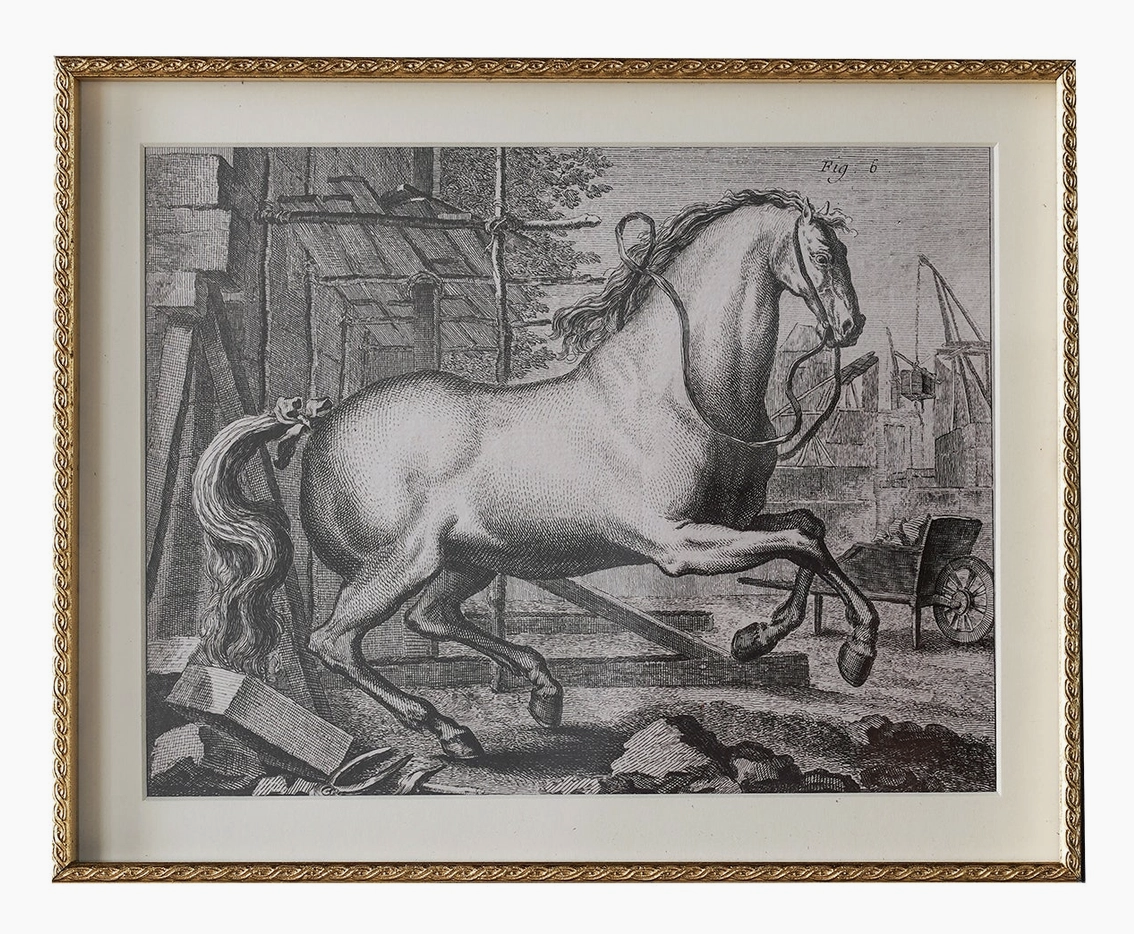 Chesham Horse  - English Countryside Horse and Barn, Fig. 6, 10x8