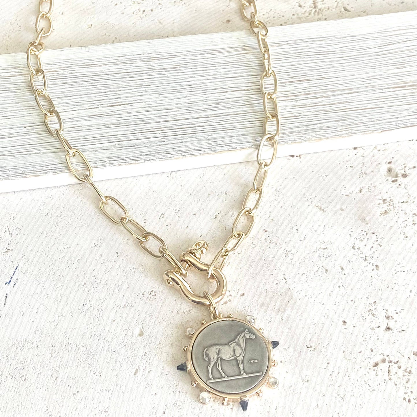 Horse coin shackle necklace  Equestrian derby  jewelry 
