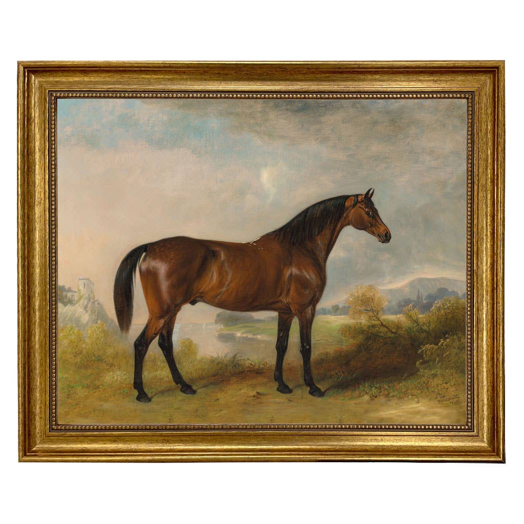 A Bay Hunter Framed Oil Painting Print on Canvas