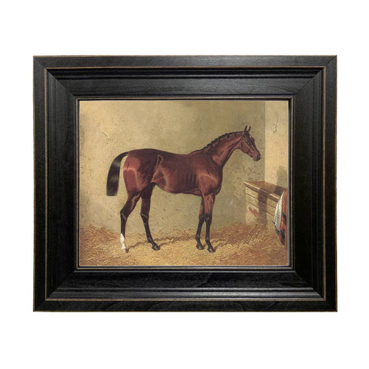 Bay Colt in Stable Vintage  Painting Print on Canvas