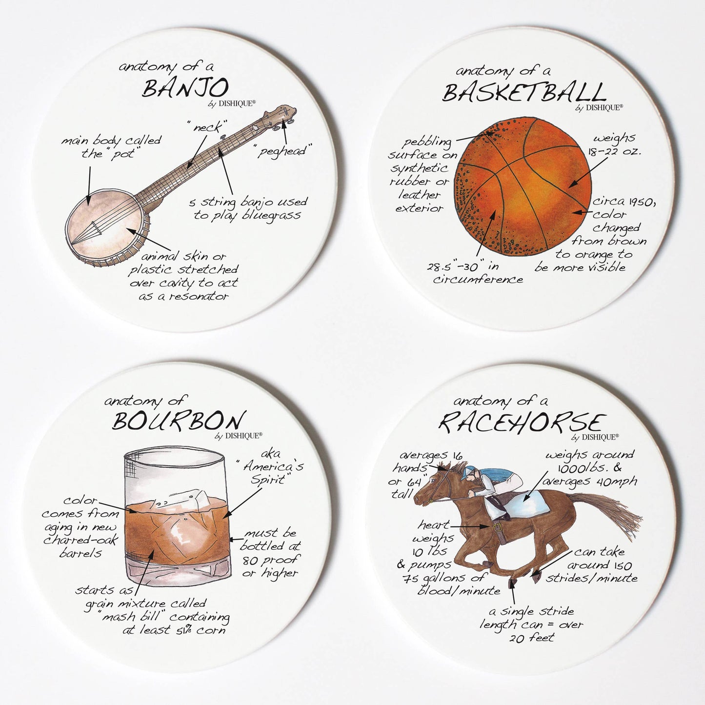 Kentucky Anatomy Coasters