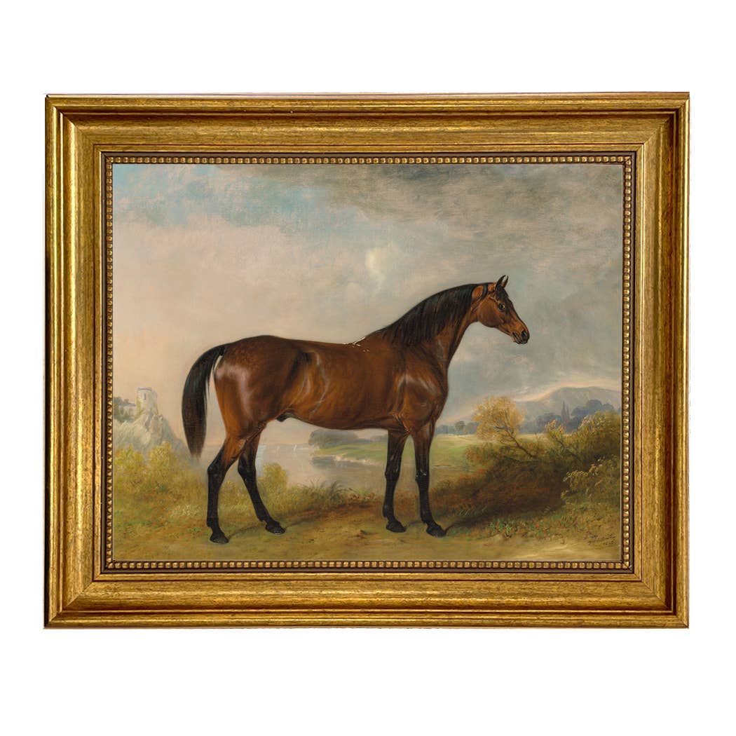 A Bay Hunter Framed Oil Painting Print on Canvas